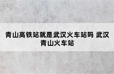 青山高铁站就是武汉火车站吗 武汉青山火车站